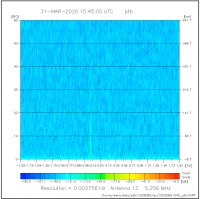 ant12