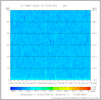 ant11