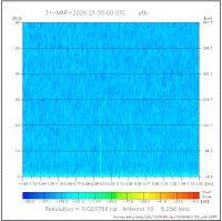 ant10