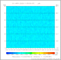 ant01