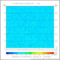 ant06
